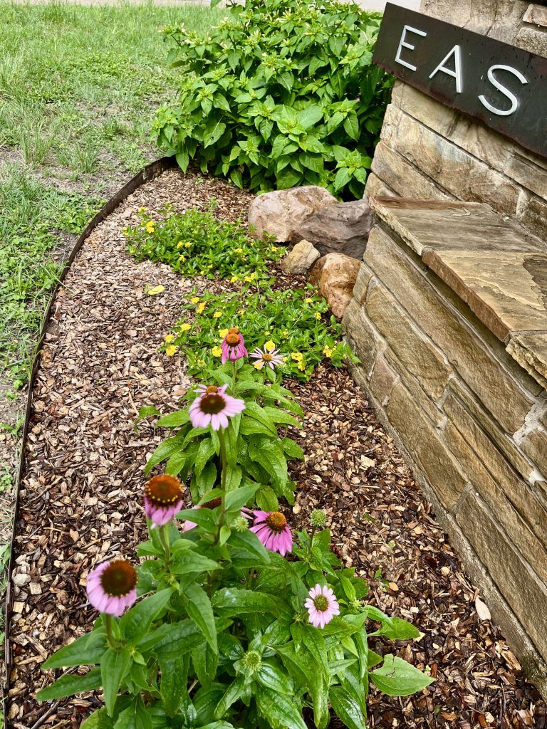 Sprinklers Now Flow in Entry Garden