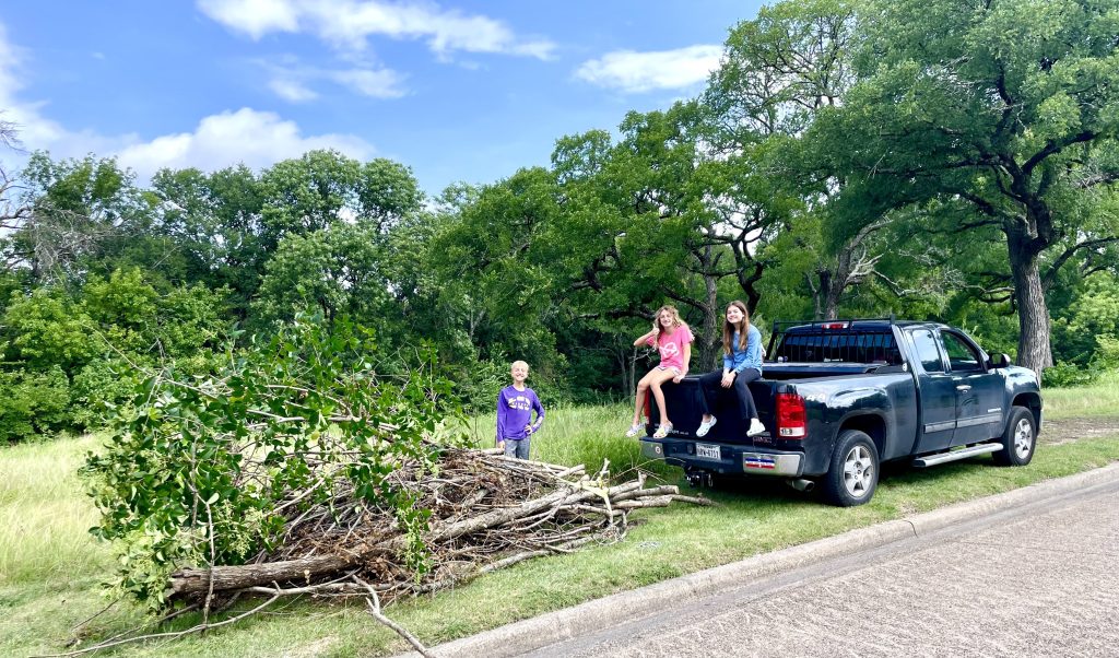 Beautifying the Knoll & Clearing the Woods Trail