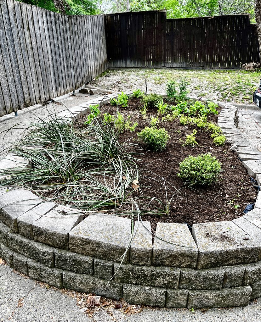 Whitehaven Garden — Planted & Ready to Grow!