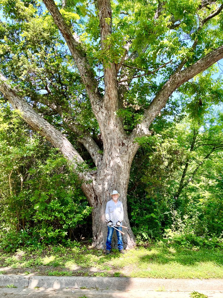 Greenbelt Guild Continues to Impress