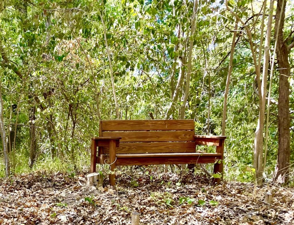 Benches and Beaches and Cedars, Oh My!